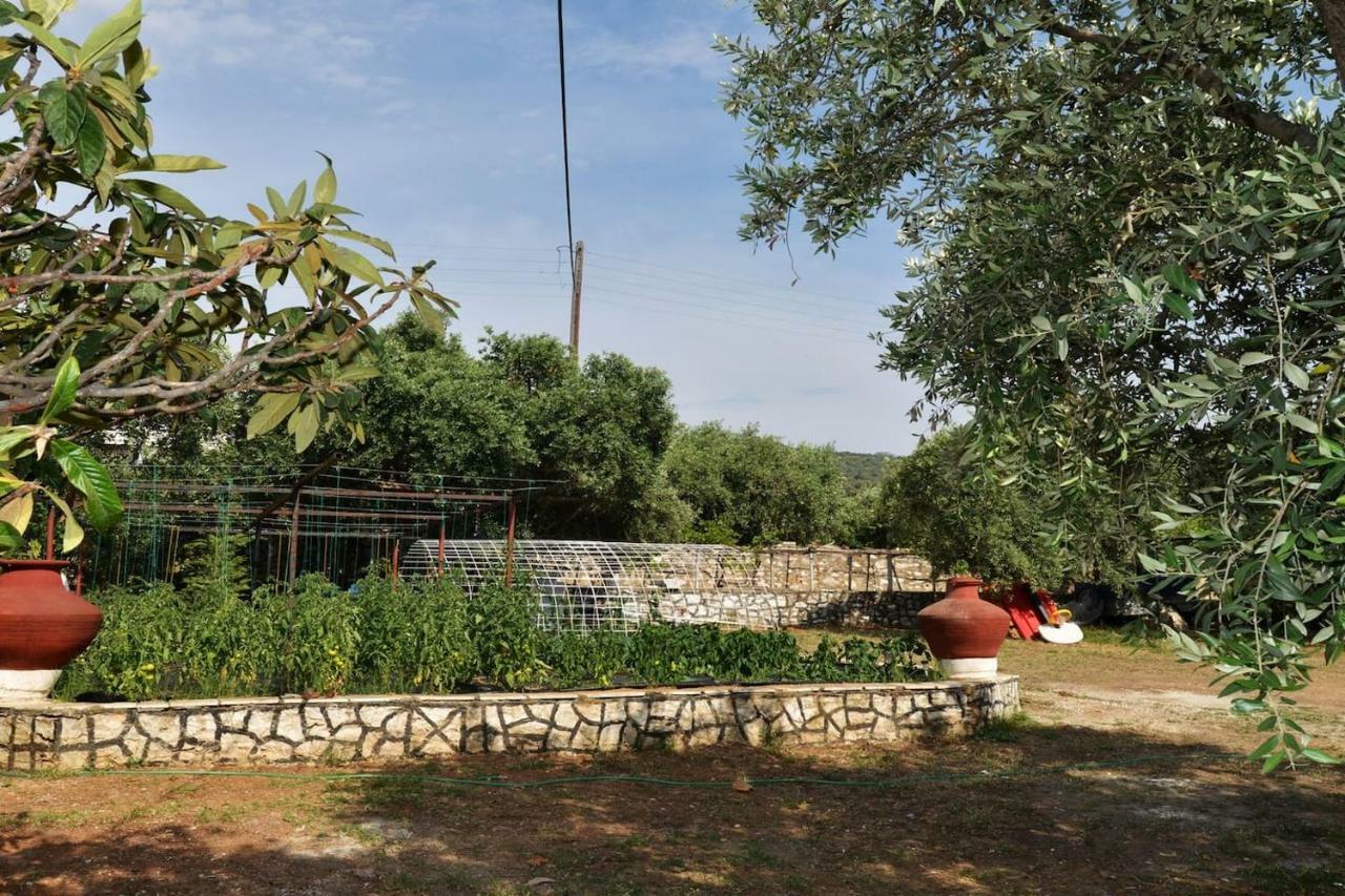 הוילה Skála Kallirákhis Penelope'S House מראה חיצוני תמונה
